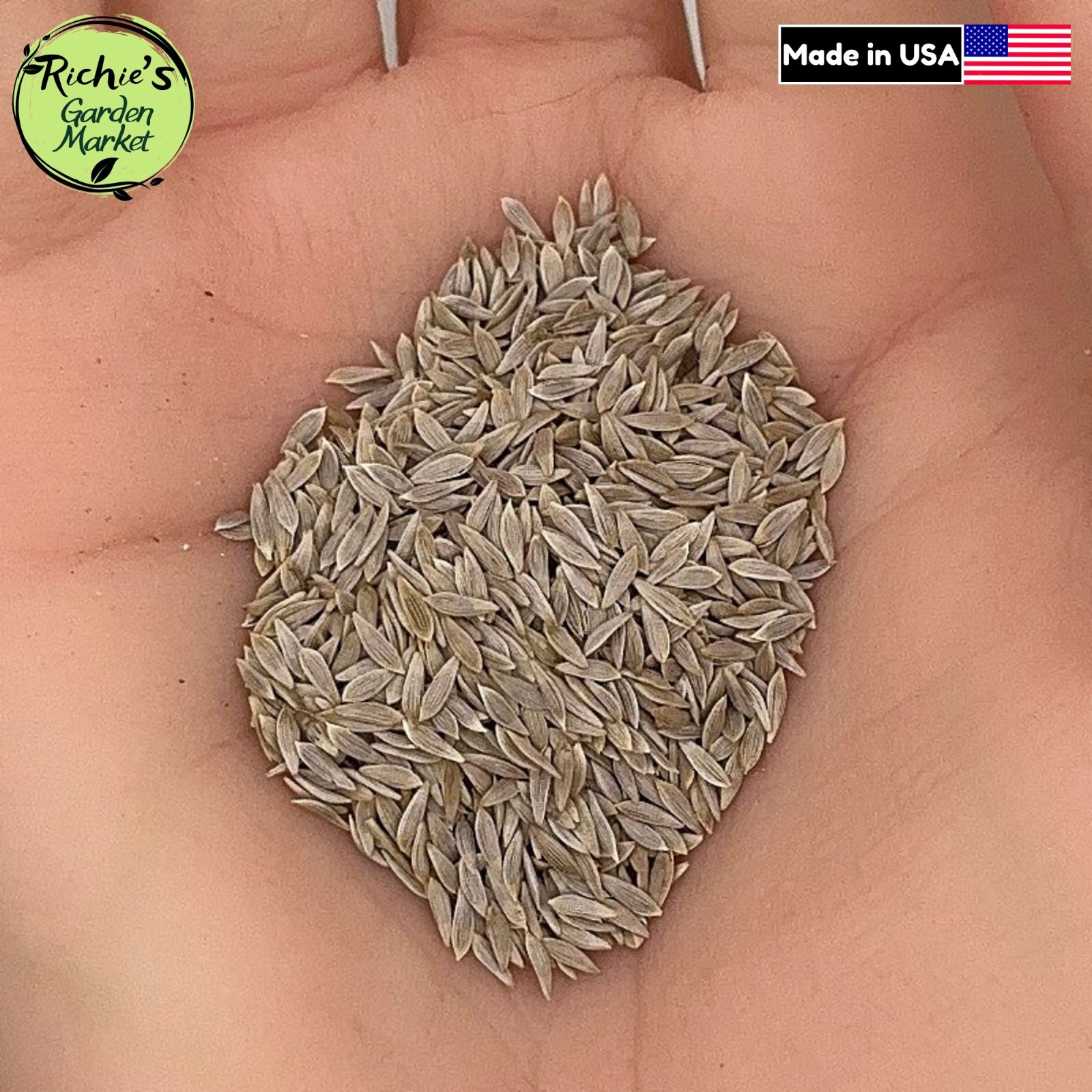 Iceberg Crisphead, Lettuce Seeds, Non-GMO, Heirloom, Easy to Grow, Free Shipping