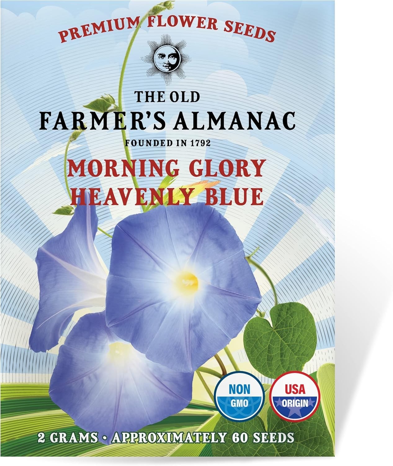 Non-GMO Morning Glory Seeds – 60 Open Pollinated Flowers for Full Sun