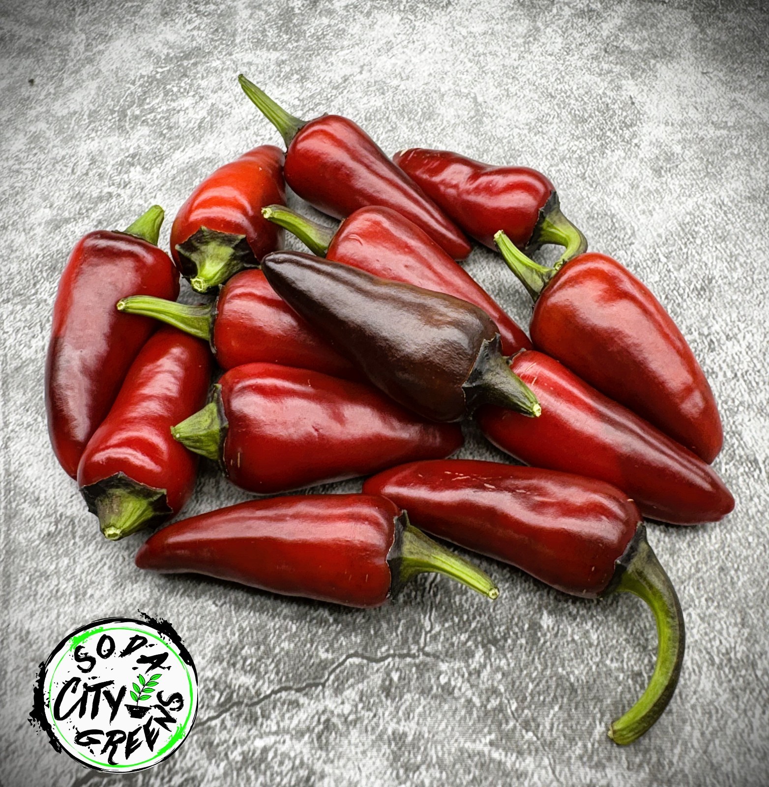 Count Dracula x Orange Fish Pepper Seeds