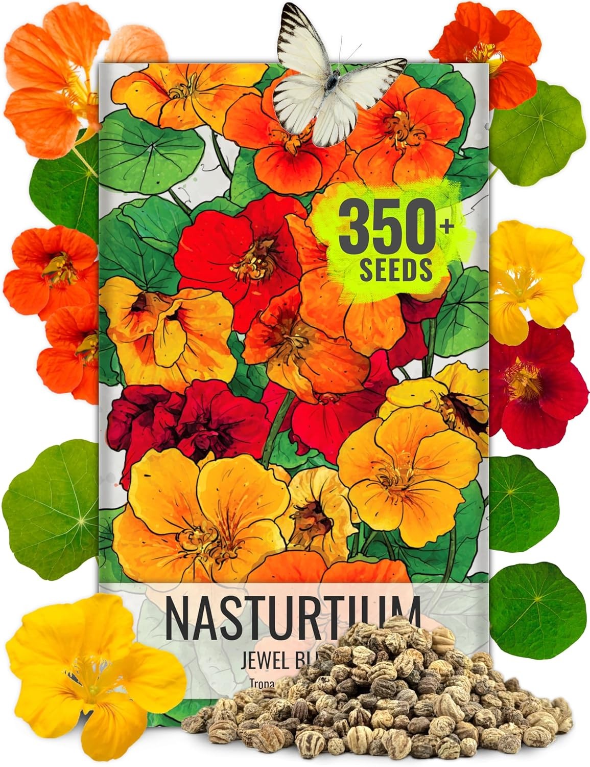 Seed Needs Nasturtium Seeds Jewel Mix Multicolored Edible Flowers | 1.5 Ounce