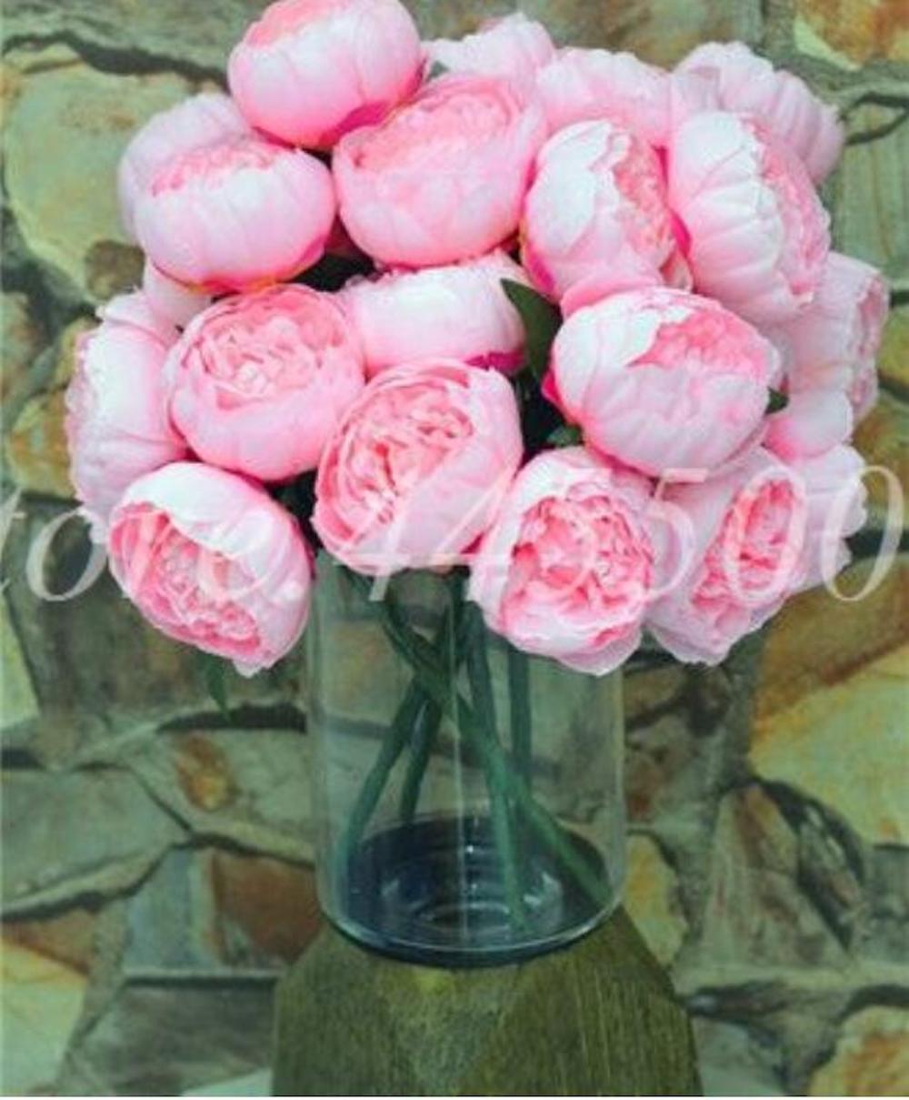 20 PEONIES FLOWER SEEDS rare exotic blossom bloom plant garden germination B