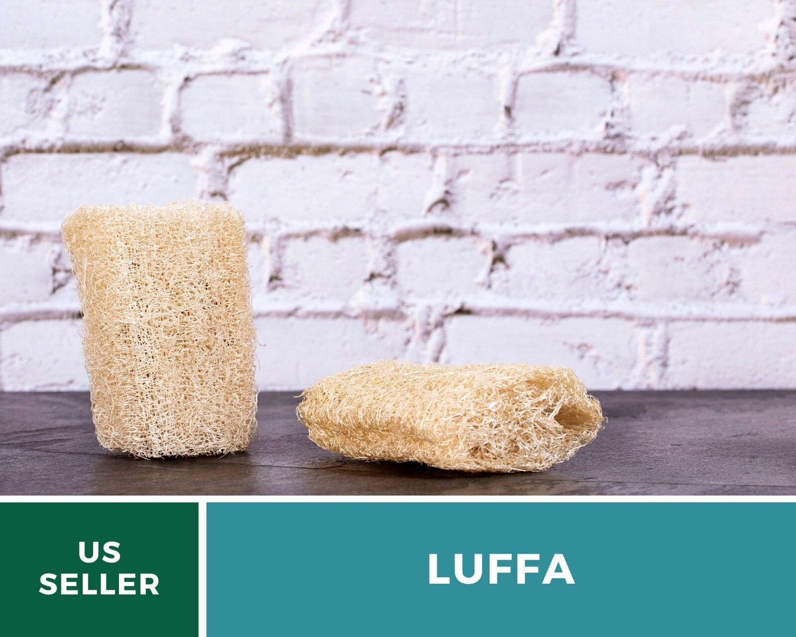 Gourd, Luffa – Heirloom Seeds – Grow Your Luffa Sponge (luffa cylindrica)