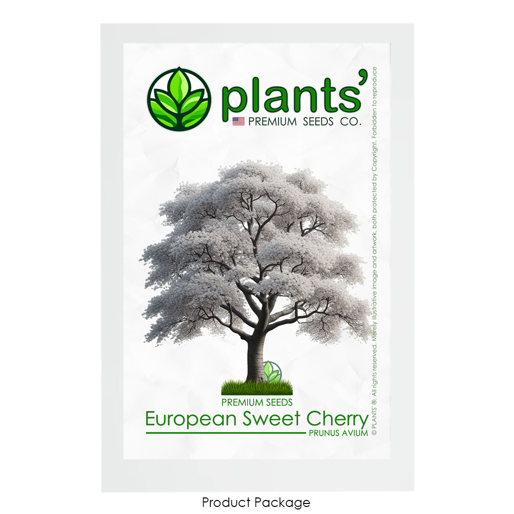 European Sweet Cherry Tree | Premium Seeds | Prunus avium ‘Spring’ | Plants’®