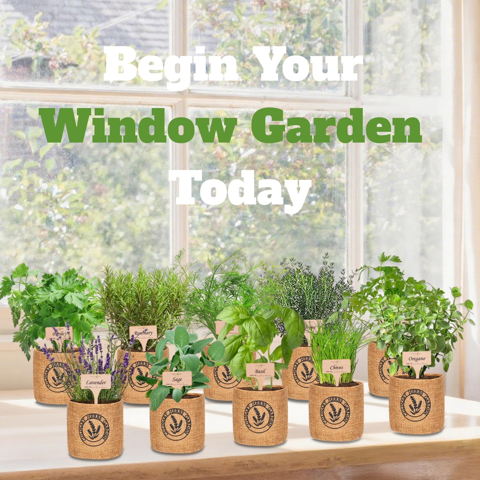 Indoor Herb Garden Kit with Organic Seeds and Burlap Pots for Easy Growing