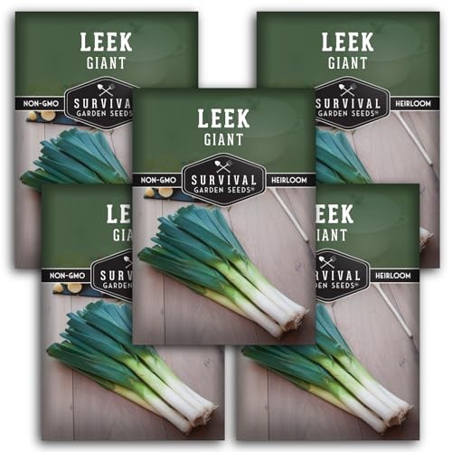 Giant Leek Seed for Planting – Packets with Instructions to Plant and Grow 5