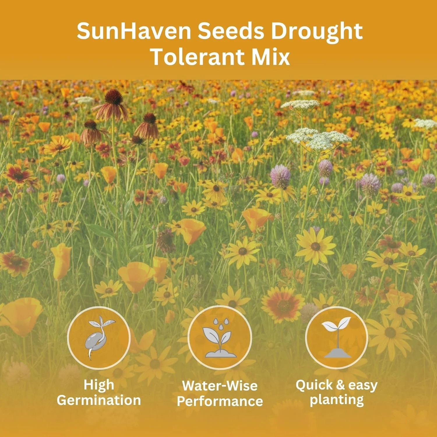 Drought Tolerant Wildflower Mix – 20,000+ Seeds – 1 oz Bulk Extra Large Resealab