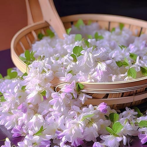 Mix Climbing Double Jasmine Seeds for Planting, 290+pcs Perennial Fragrant Climb