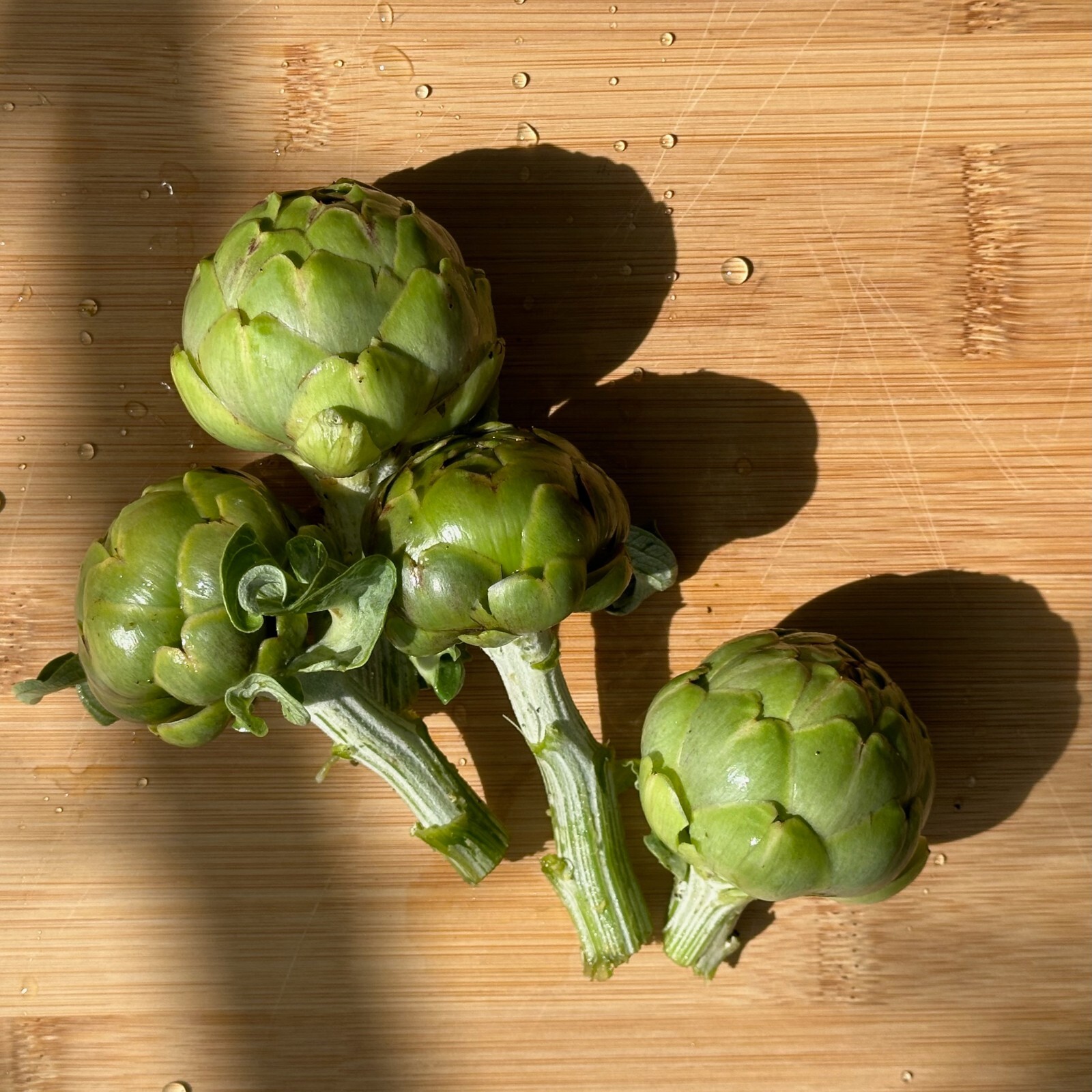 Green Globe Artichoke Seeds