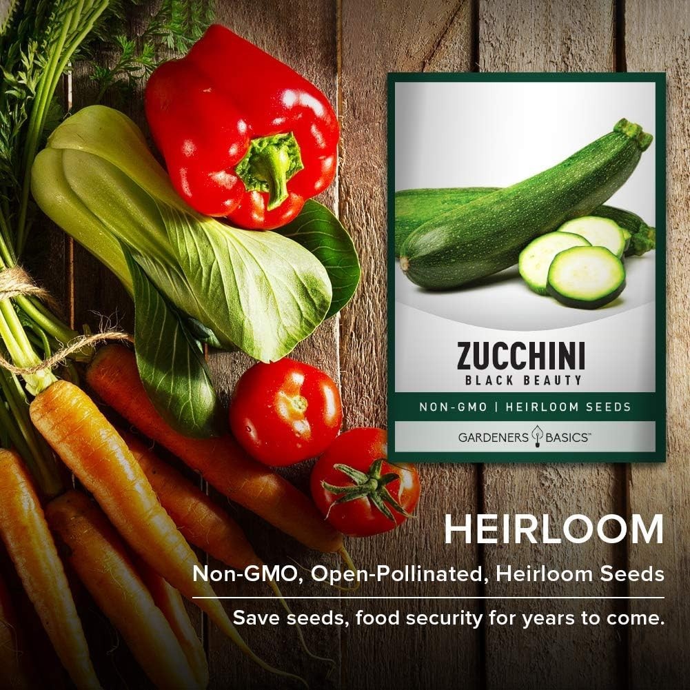 Zucchini Seeds – Black Beauty Heirloom Non-GMO Summer Squash 3 Grams