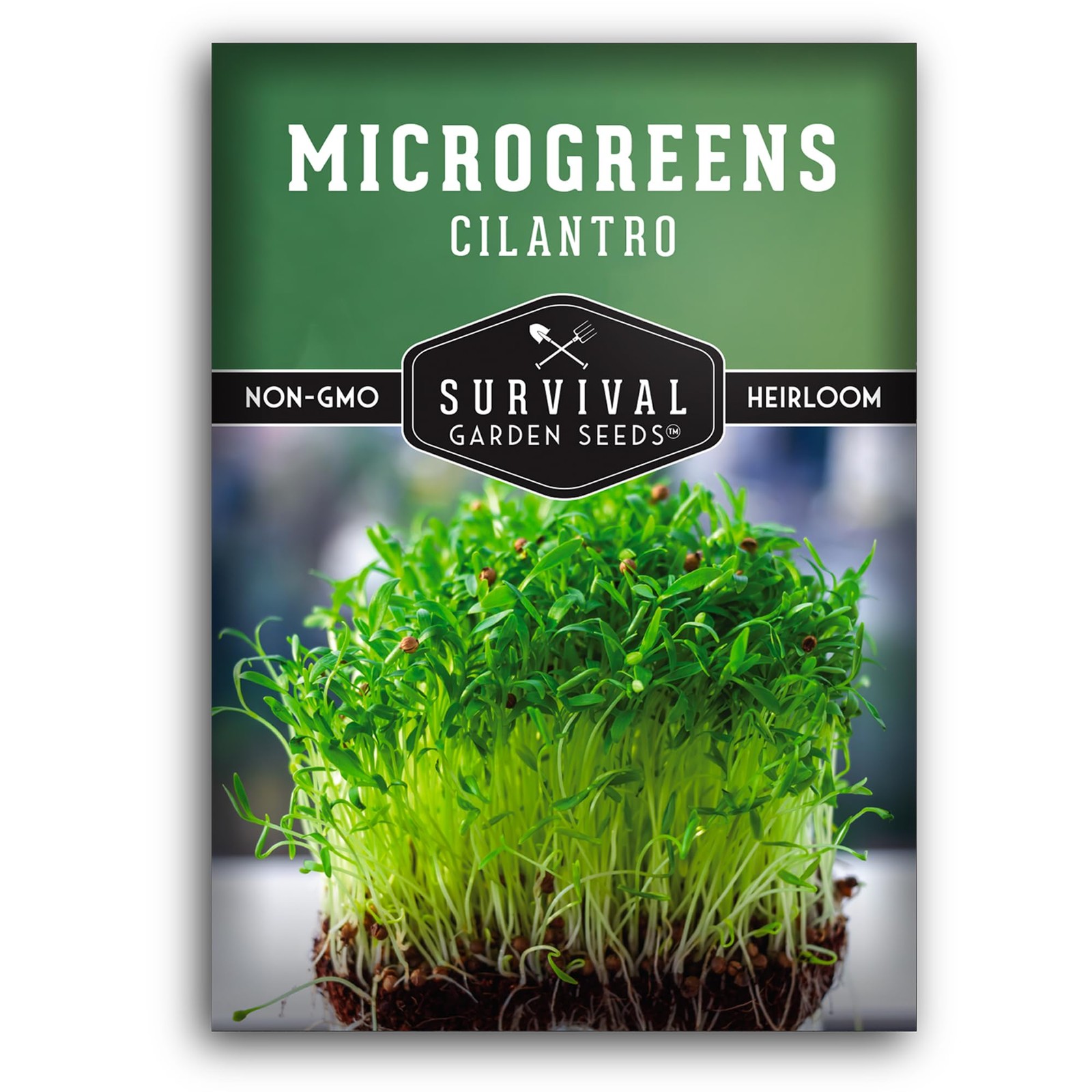 Cilantro Microgreen Seeds for Planting – Non-GMO Heirloom Cilantro Seeds to G…