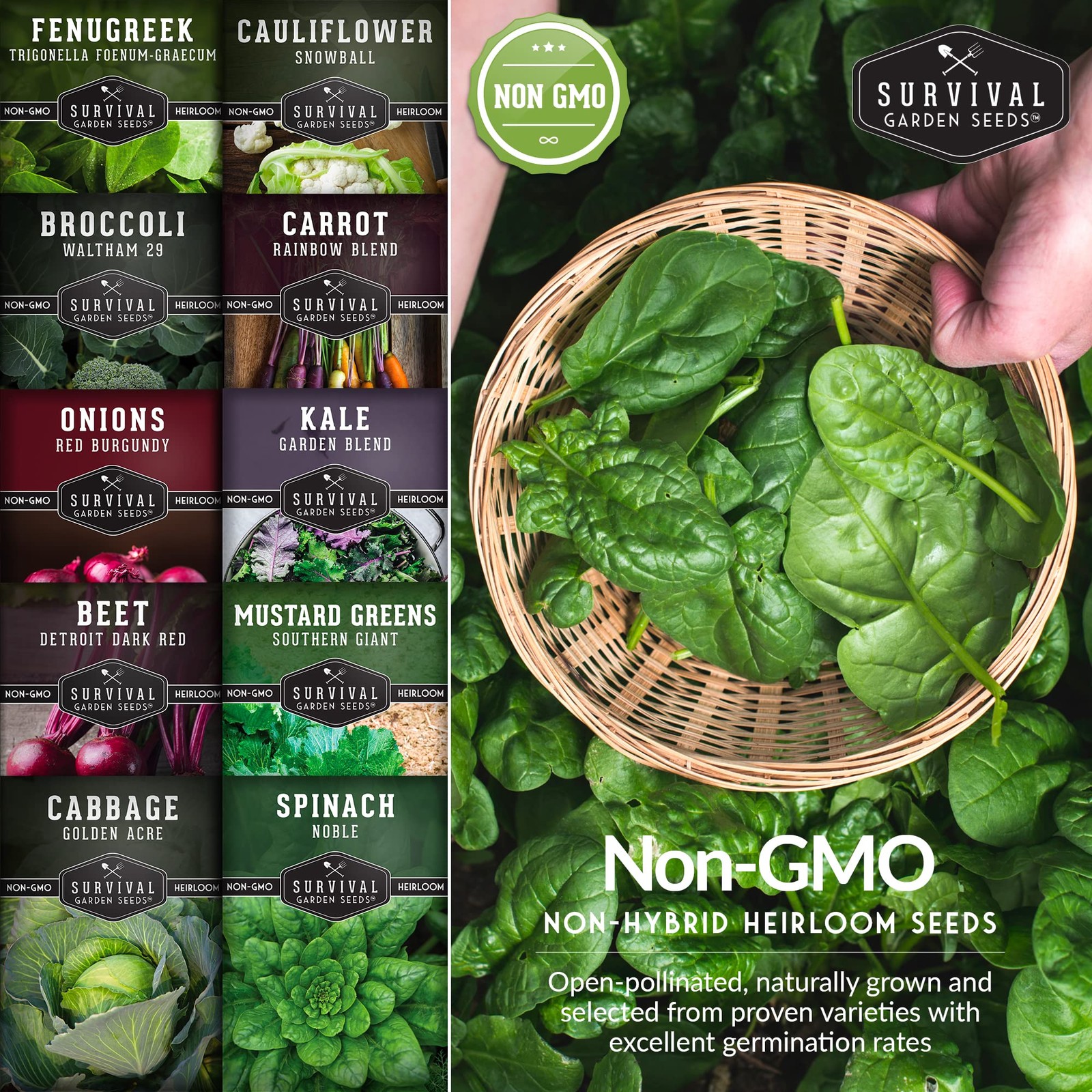 Spring Vegetable Seed Collection 10 Heirloom Non-GMO Seeds – Cool Weather Garden