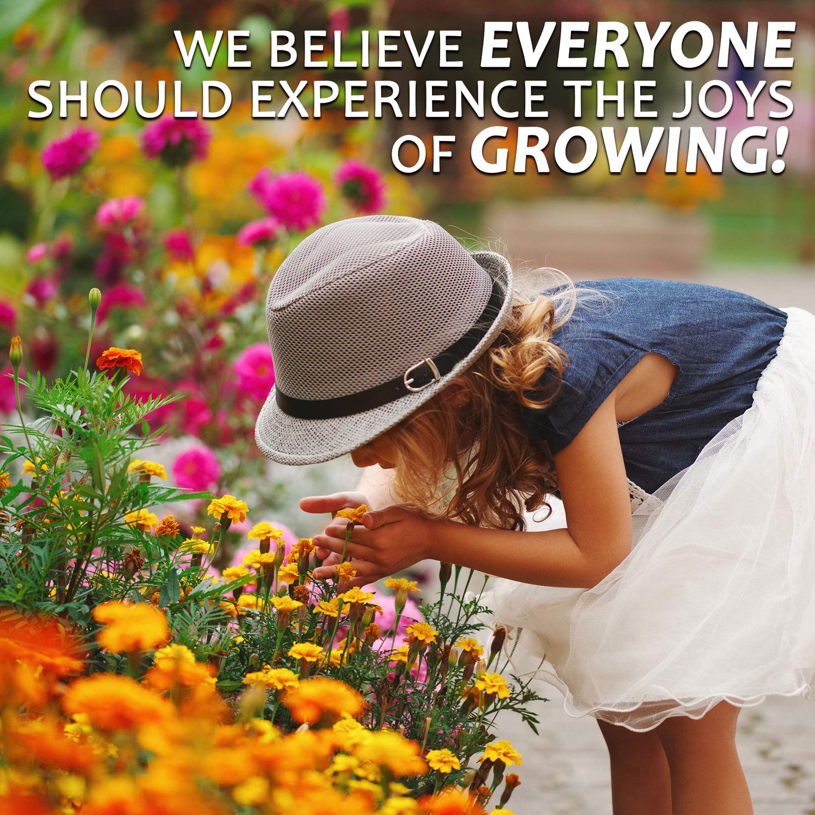Wildflower Seeds Pollinator Collection – Includes 3 Premium Mixes: Save the B…