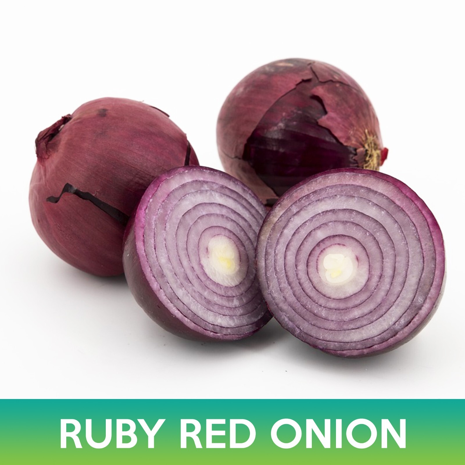 Ruby Red Onion Seeds, Allium cepa