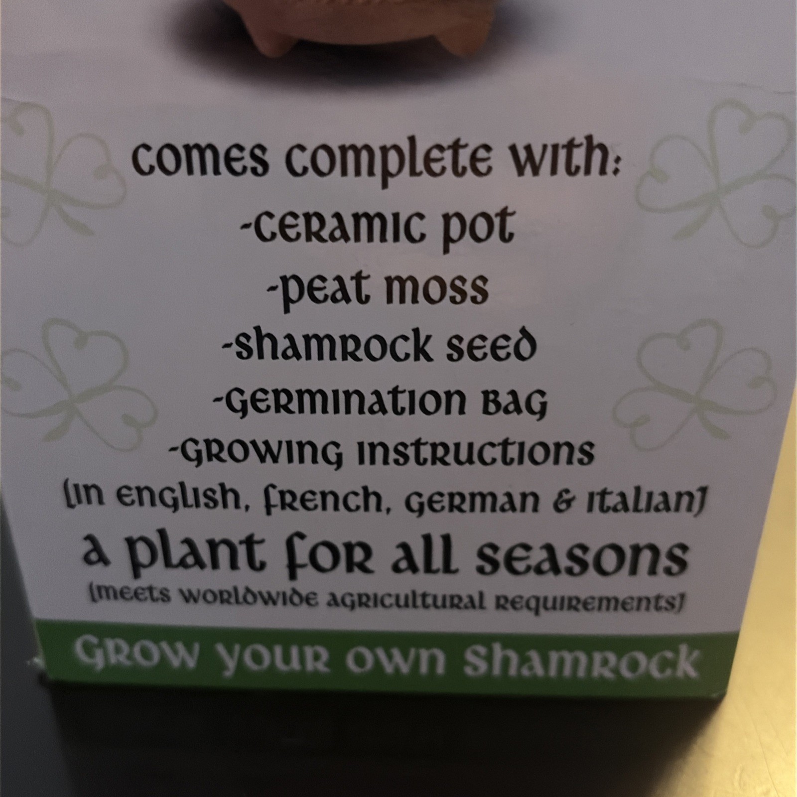 The Blooming Shamrock Pot – Grow your own Irish Shamrock