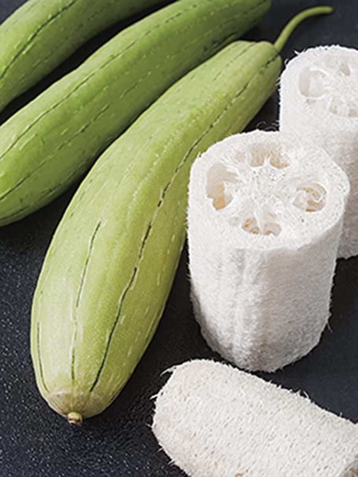 New 2025 Sponge Gourd / Luffa – 6 seeds per packet -Free shippi