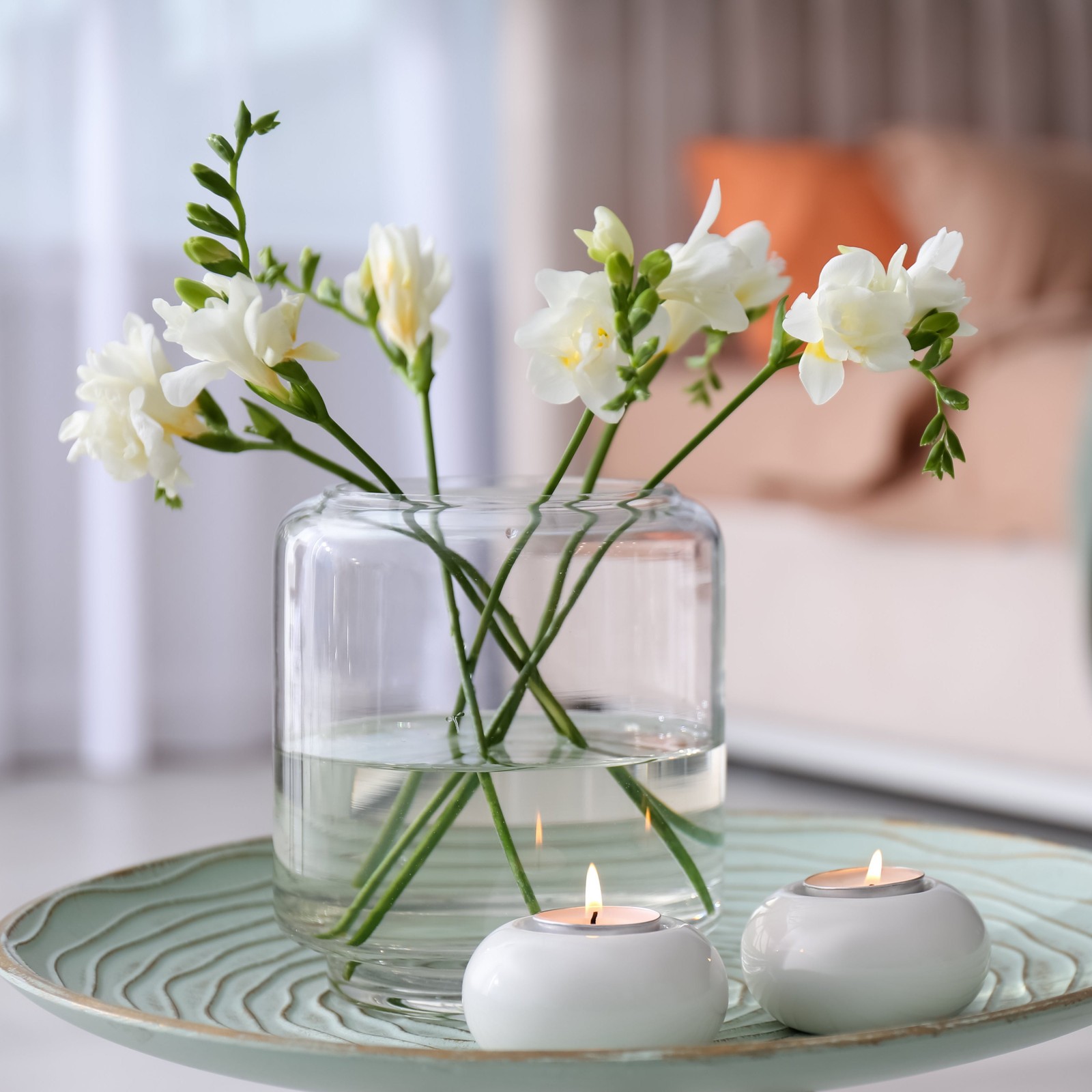 Freesia Single White 15 Plant Bulbs, Spring Flowers Bloom in Sun