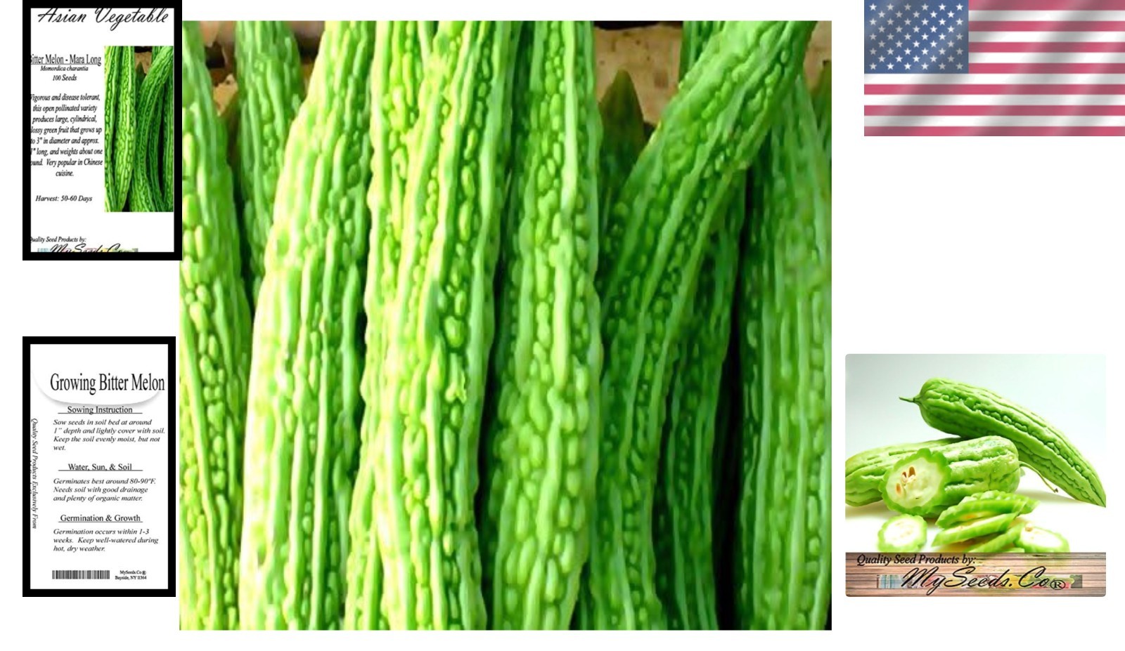 Mara Long Variety Bitter Melon – 100 Non-GMO Seeds