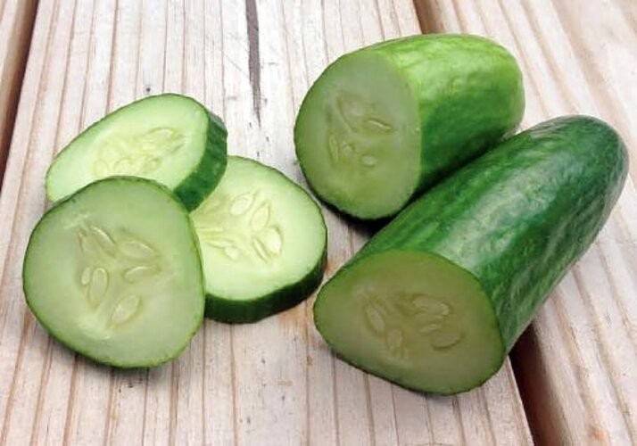 30 Muncher Burpless Sweet Cucumber Seeds, Heirloom Non-GMO, Non-Bitter and