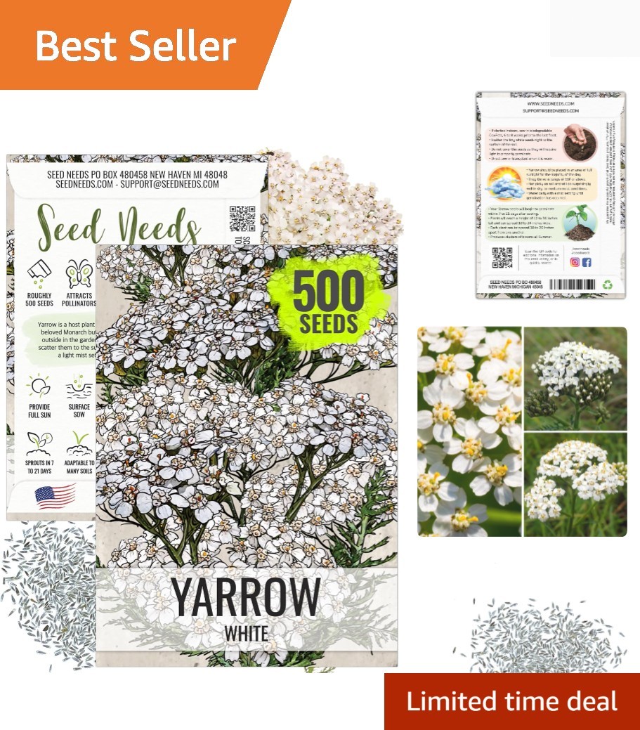 White Yarrow Seeds – 500 Heirloom Seeds for Planting Achillea millefolium – P…