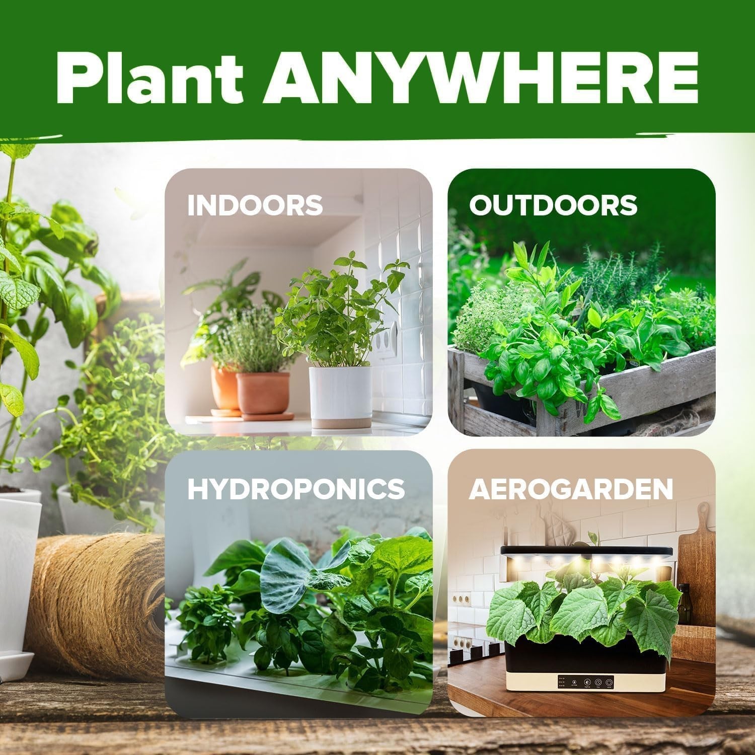 15 Herb Seeds Variety Pack – Non-GMO, Heirloom, Kitchen & Indoor Gardens
