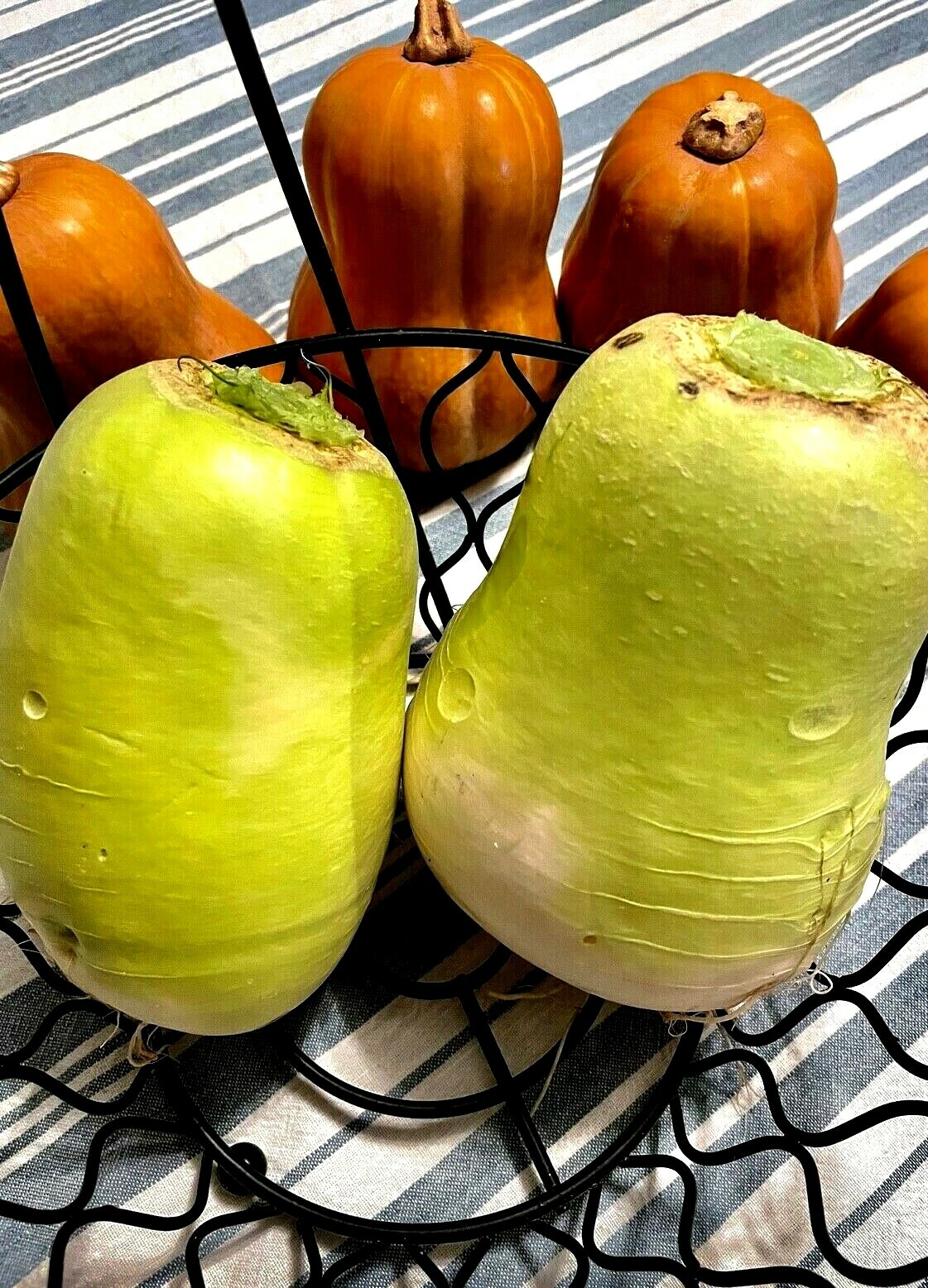 50 + Hybrid Korean Radish Dong Ha Radish F1 Seeds