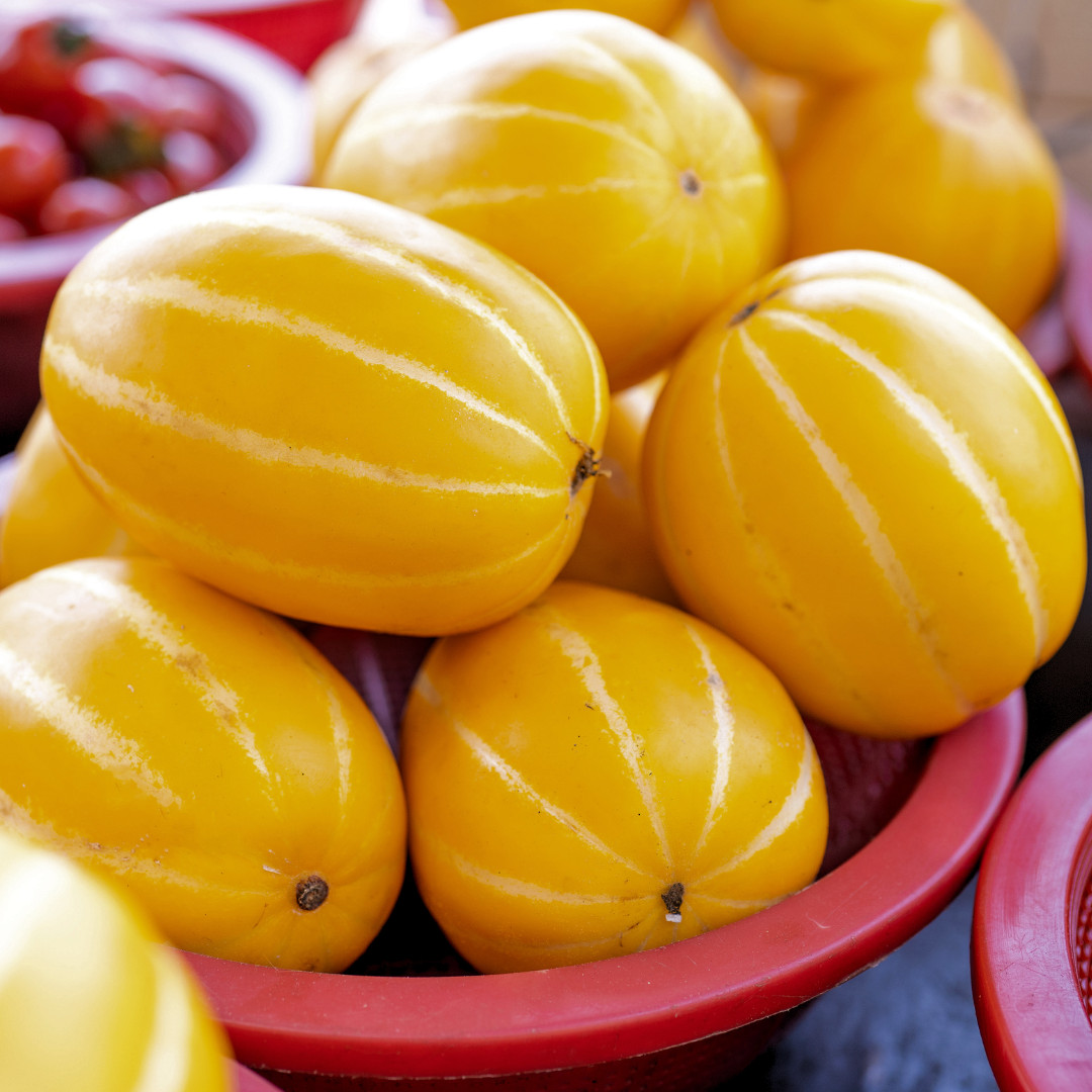 Fresh Korean Melon Seeds | Tian Gua | Heirloom Non-GMO | Asian Vegetable Seeds