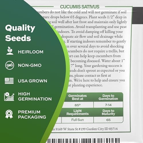 Spacemaster Cucumber Seeds – Heirloom Non-GMO USA Grown – Compact Bush Variety