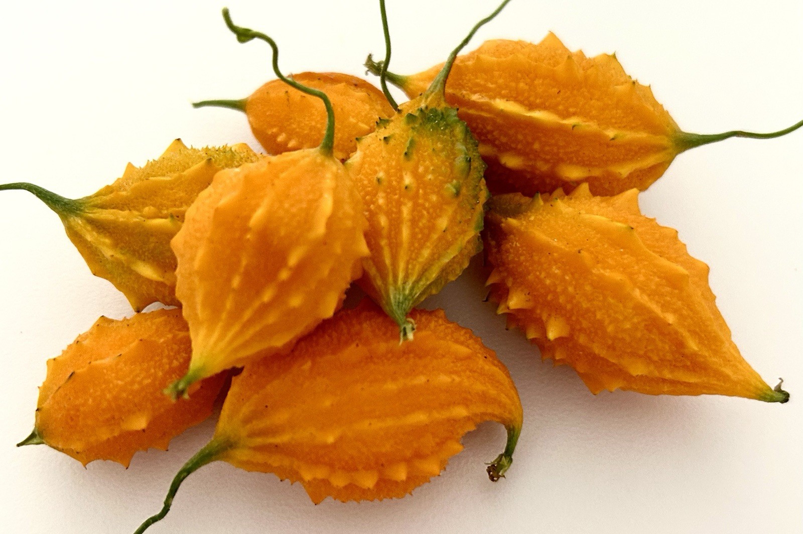 Mini Bitter Melon, Momordica Charantia, Bitter Gourd – 10 Seeds 2025 – USA