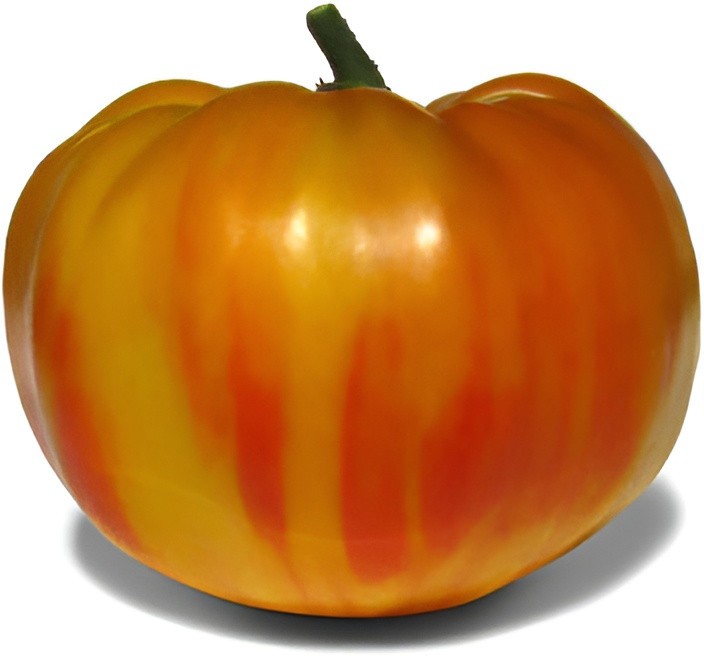 100 Heirloom Big Rainbow Tomato Seeds GIANT 2lb Bi-Colored Sweet Indeterminate
