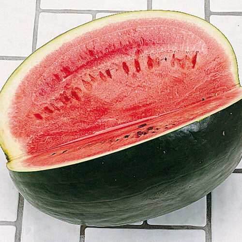 Black Diamond Watermelon Seeds – 25 Seeds