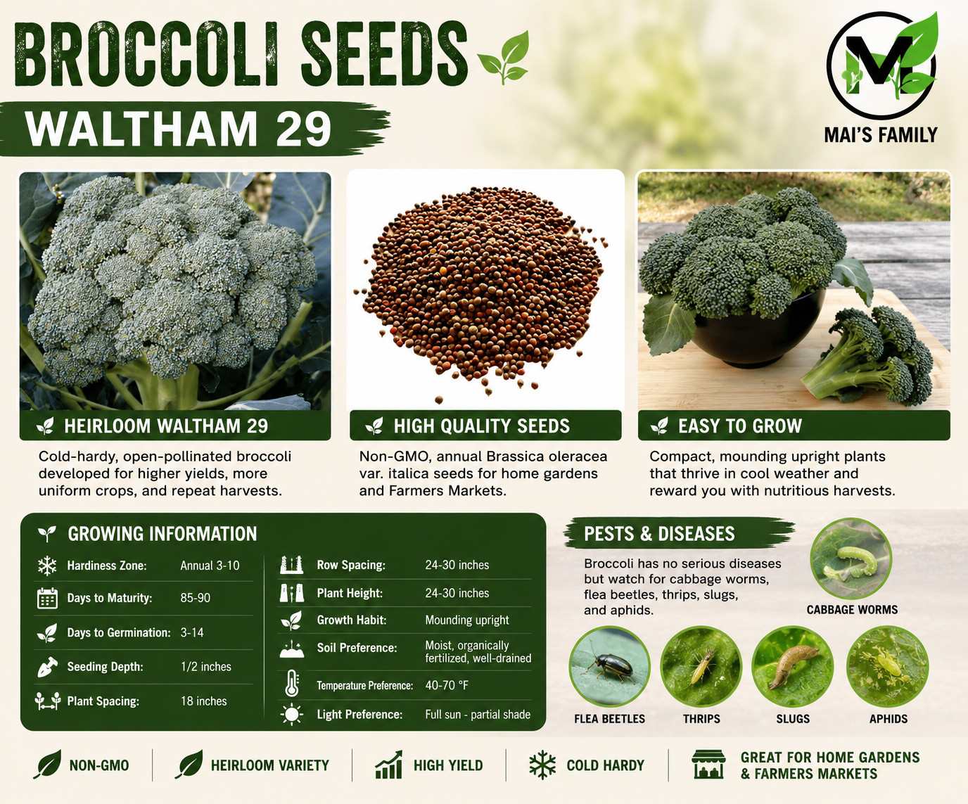 Waltham 29 Broccoli Seeds, 85-90 Days, Heirloom Non-GMO Brassica Vegetable Seeds