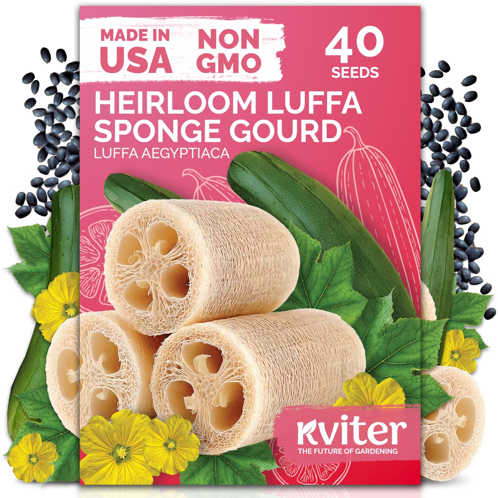 KVITER 40 Luffa Seeds (Luffa Aegyptiaca)