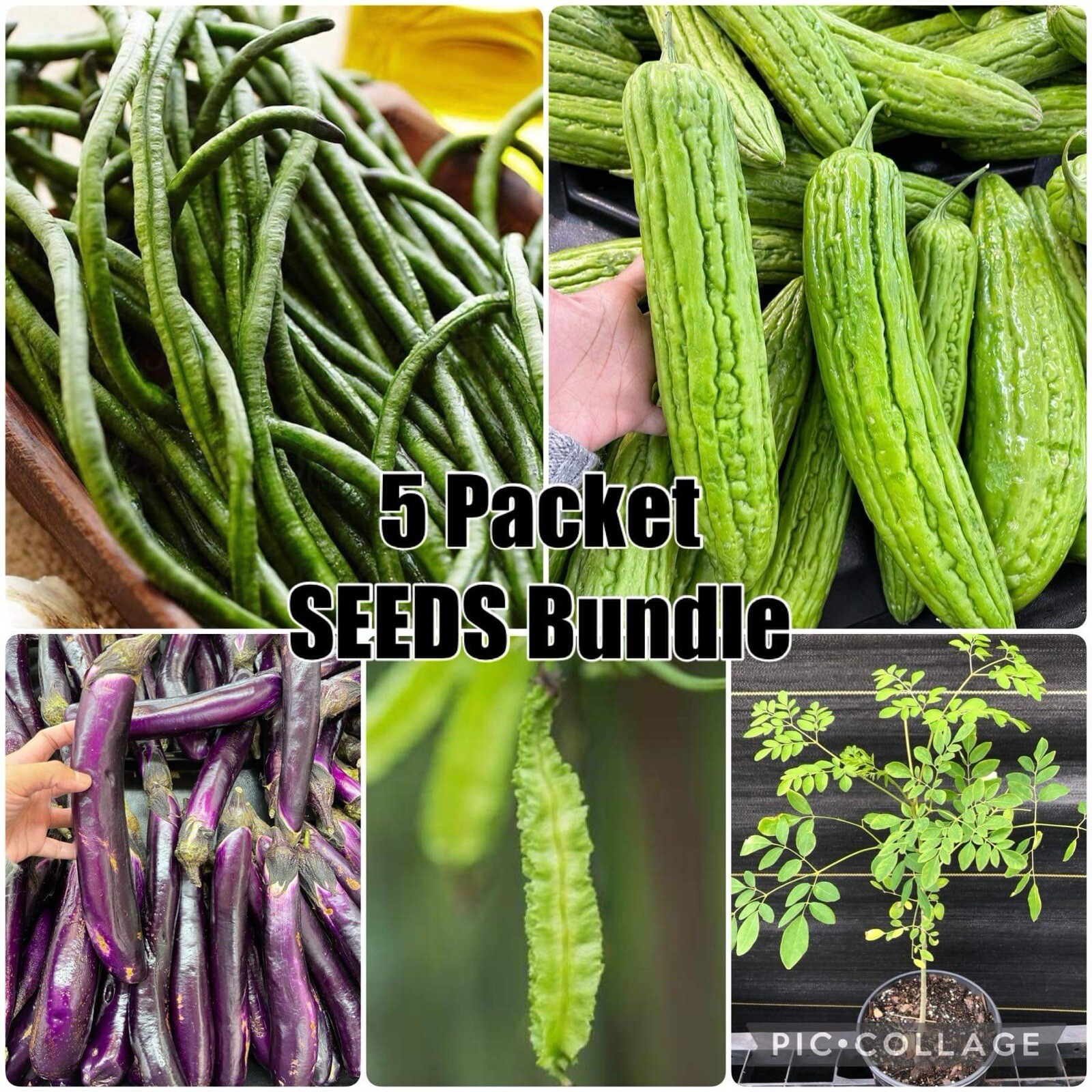 5 Packet +2FREE SEEDS Bundle | SEEDS for Planting
