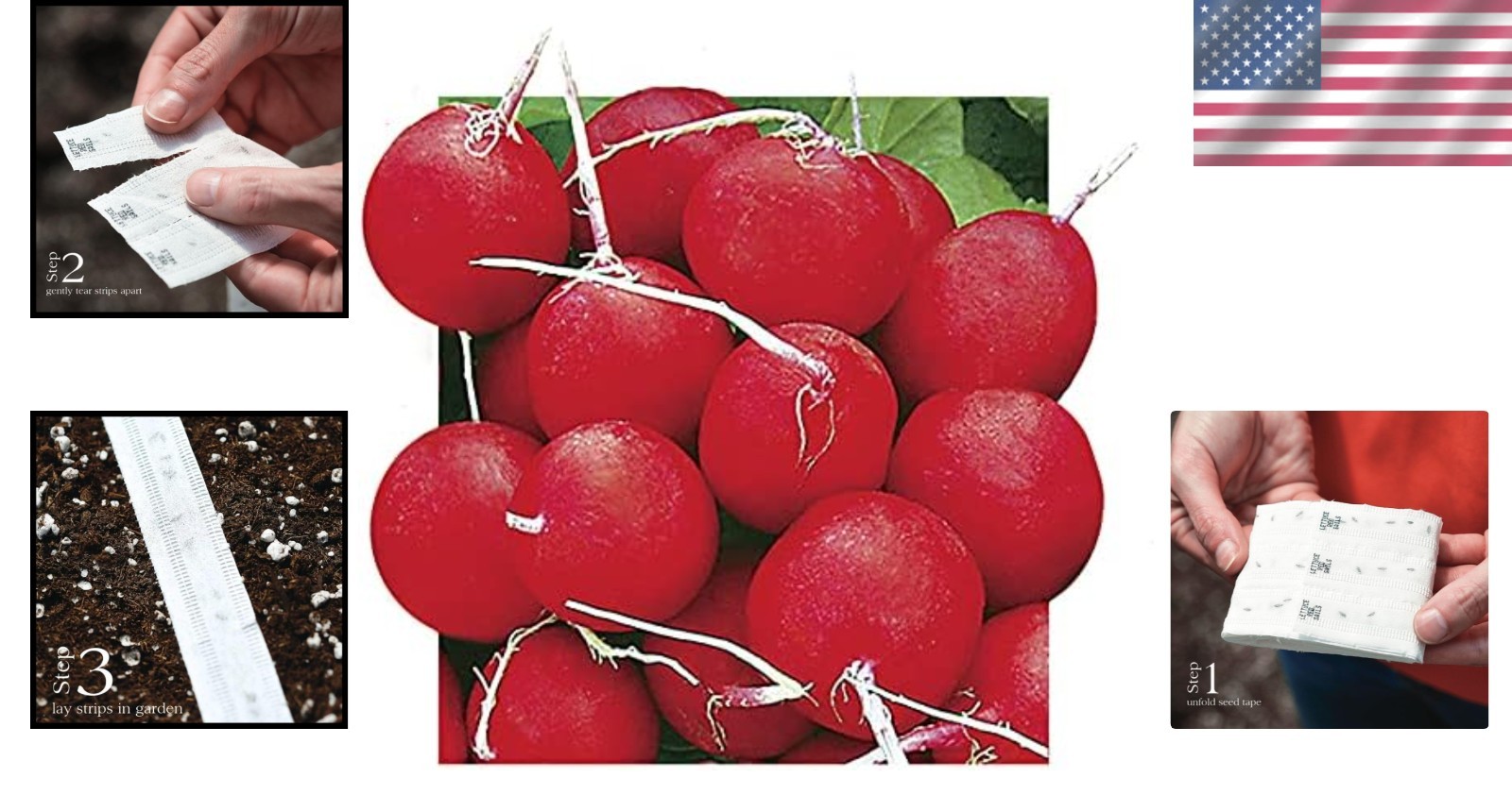 Grab Flavorful Annabel Radish Seeds – Biodegradable 15ft Tape for Your Garden