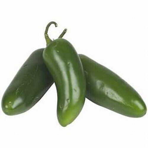 Scarborough Seeds Jalapeno Pepper 100 Seeds NON-GMO