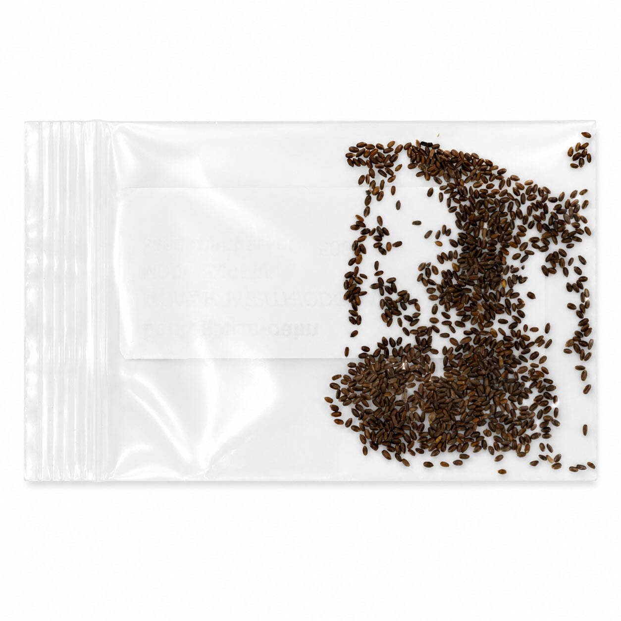 Mini Native Tall Bird Lovers Seed Mix | Prairie Legacy Inc.