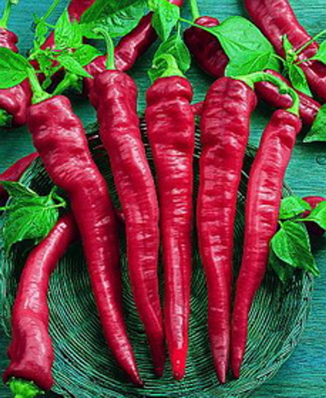 100+ Cayenne Large Red Thick Pepper Seeds ———– Hot — Organic — Heirloom