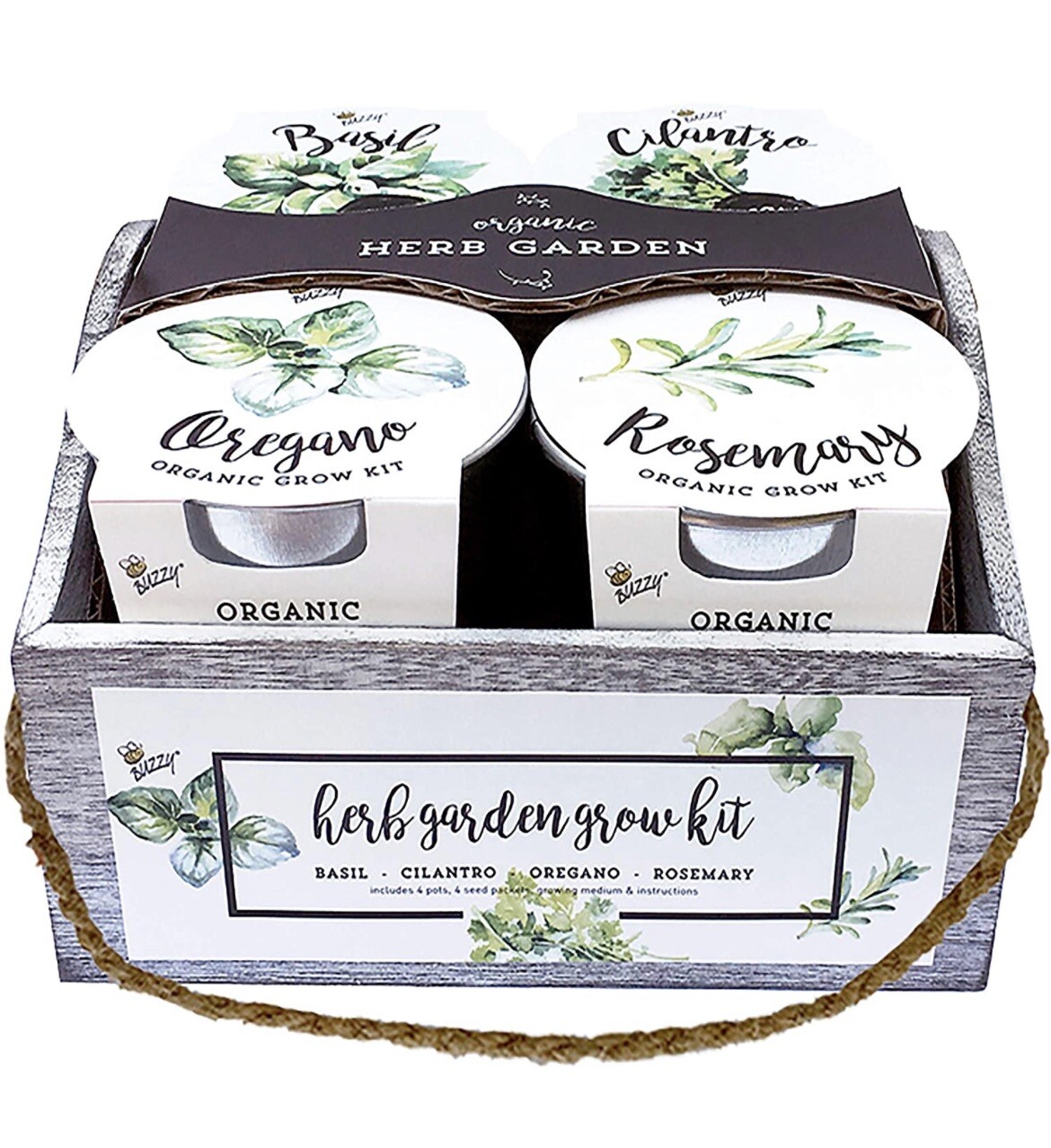 Buzzy Organic Herb Garden countertop Grow Kit – Wooden Crate – Windowsill Plants