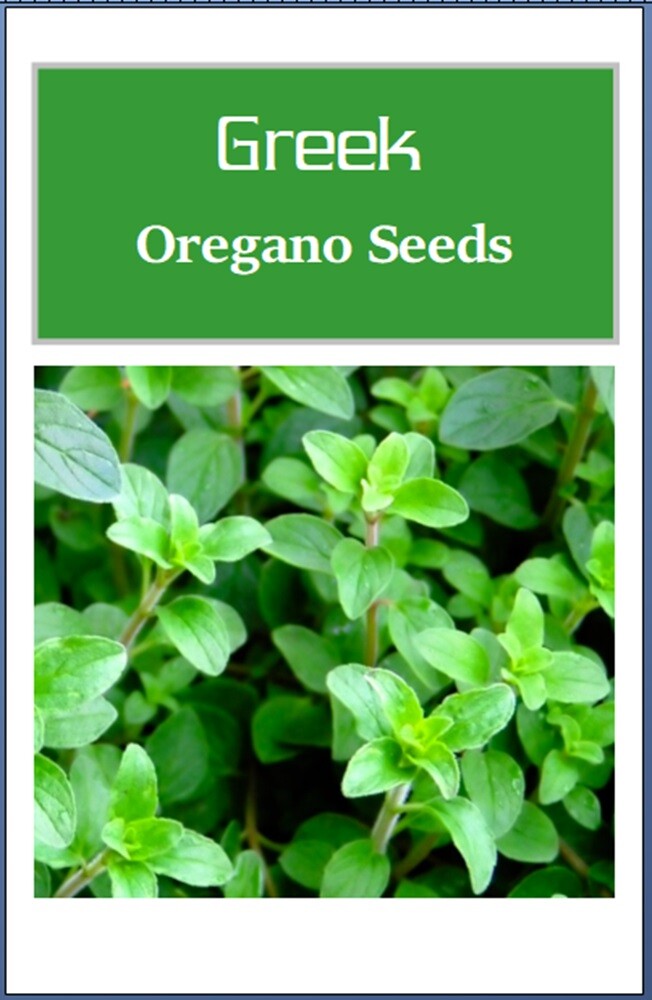Greek Oregano Seeds Seeds | NON-GMO | Heirloom | Fresh Garden Seeds