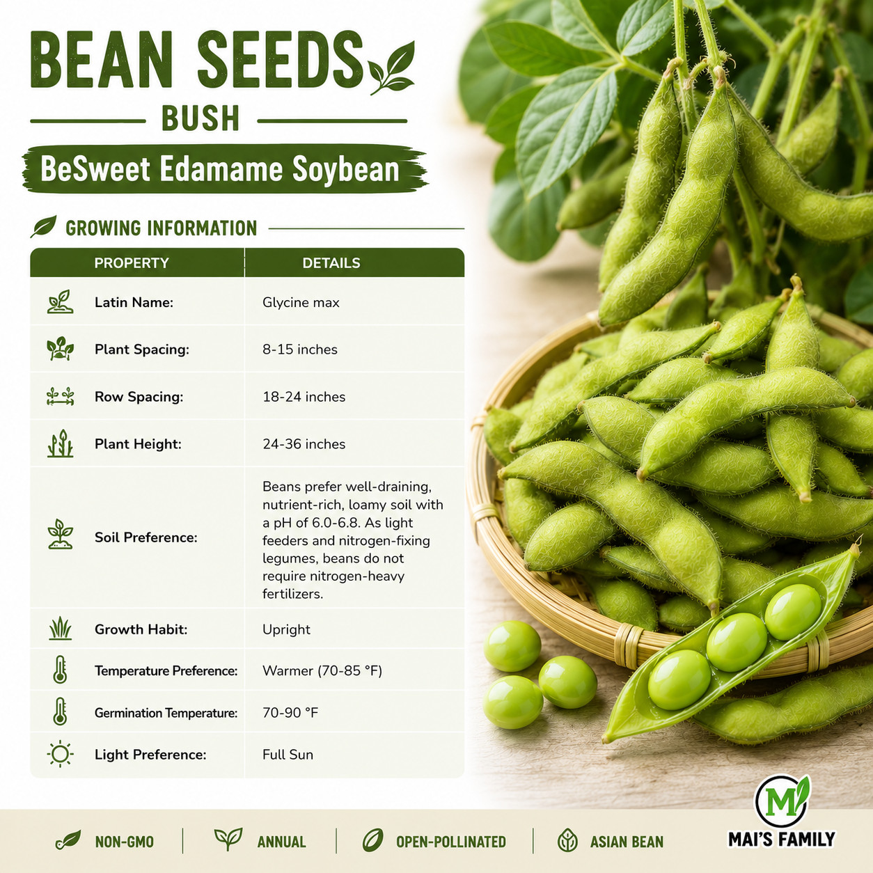 BeSweet Edamame Soy Bean Seeds | USA Non-GMO Vegetable