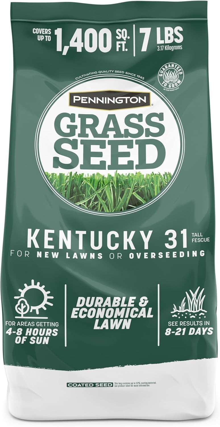 Drought-Resistant Fescue Grass Seed – 8 Hours Sunlight