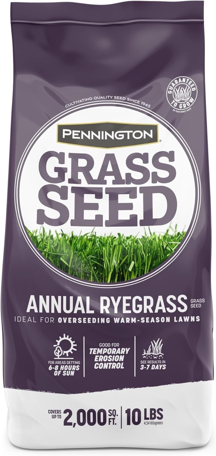 Fast-Growing Annual Ryegrass Seed, 10 Lb – Disease-Resistant Lawn Solution