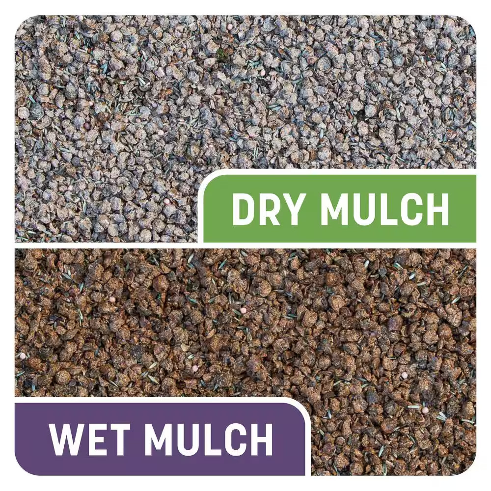 Smart Patch Dense Shade 10 Lb. 200 Sq. Ft. Grass Seed Bare Spot Repair with Mulc