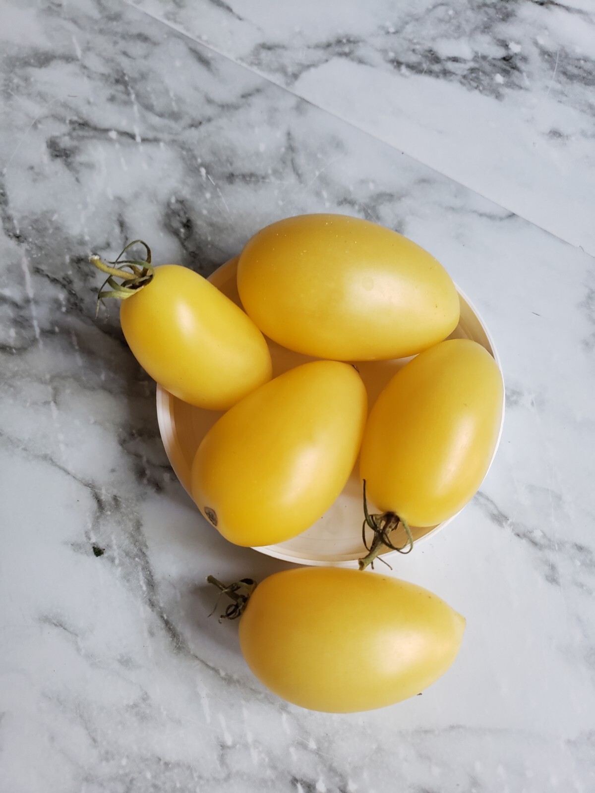 Heirloom, Open Pollinated, Non GMO Garden Seeds