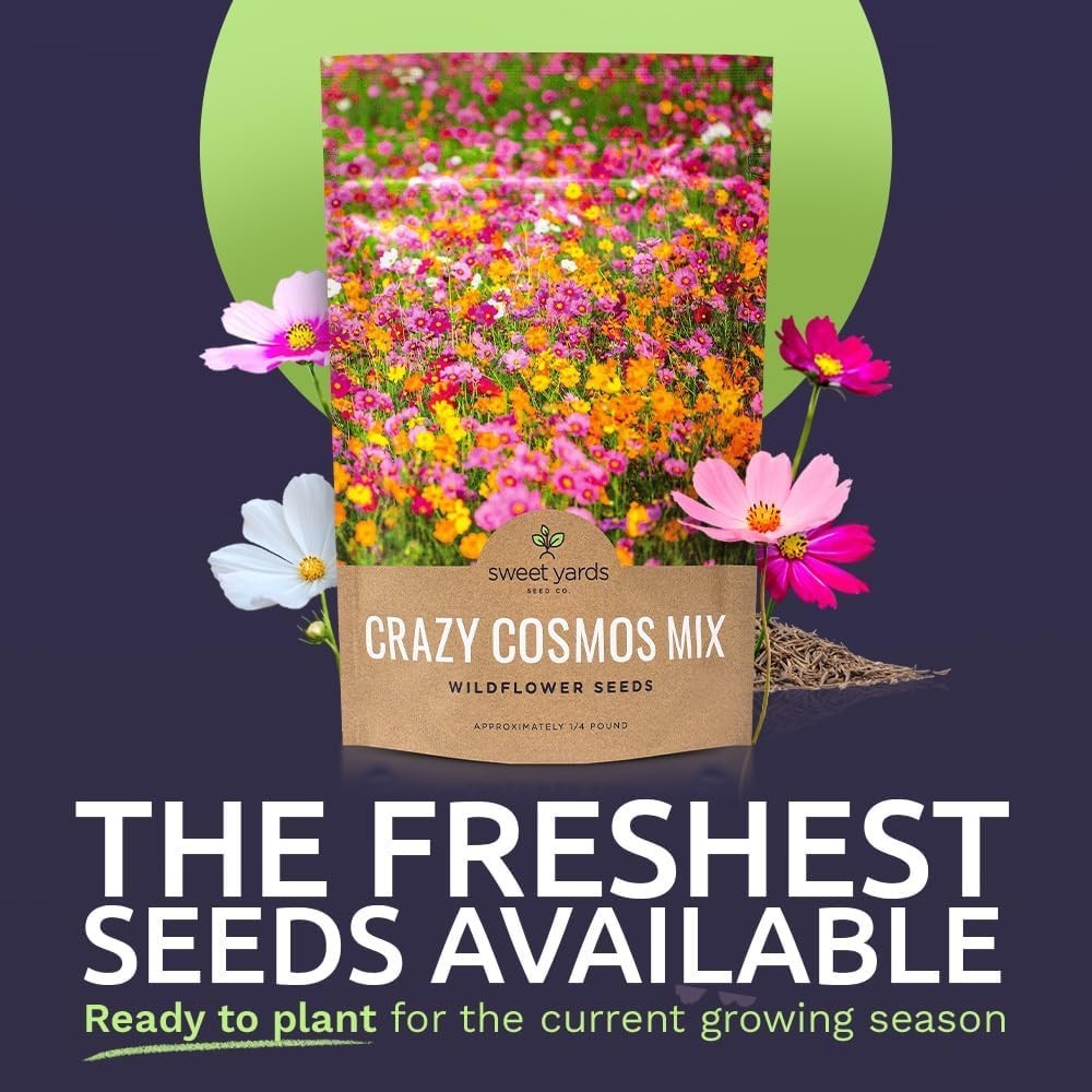 Cosmos Seeds Wildflower Mixture – Bulk Quarter Pound Bag – Over 20,000 Seeds …