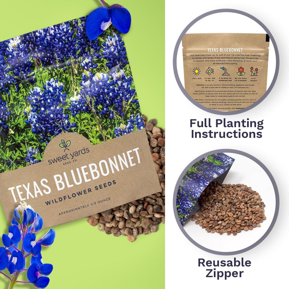 Texas Bluebonnet Wildflower Seeds – Bulk 1/2 Ounce Packet – over 500 Native Seed