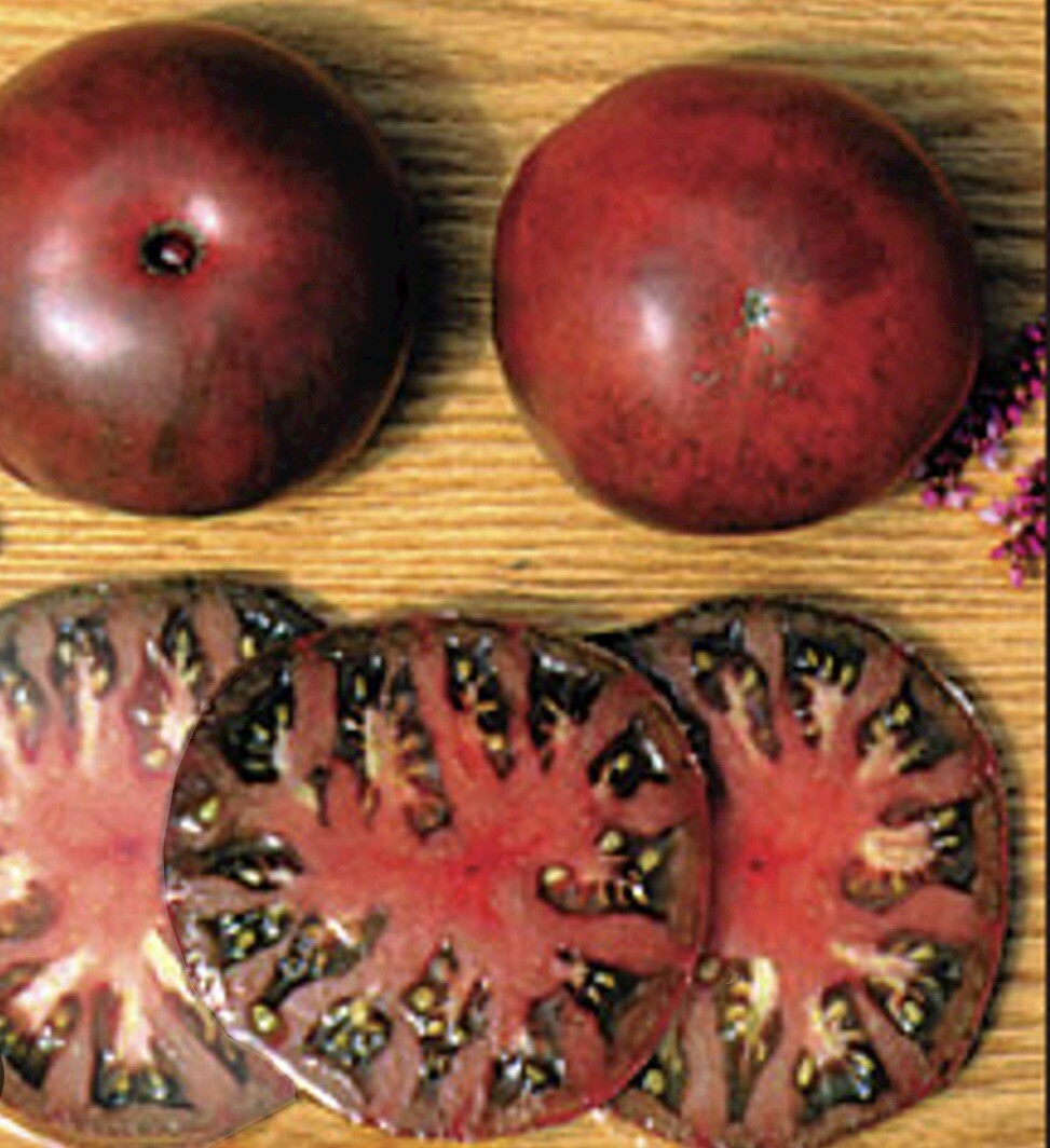 30 Black From Tula Tomato Seeds Non-GMO