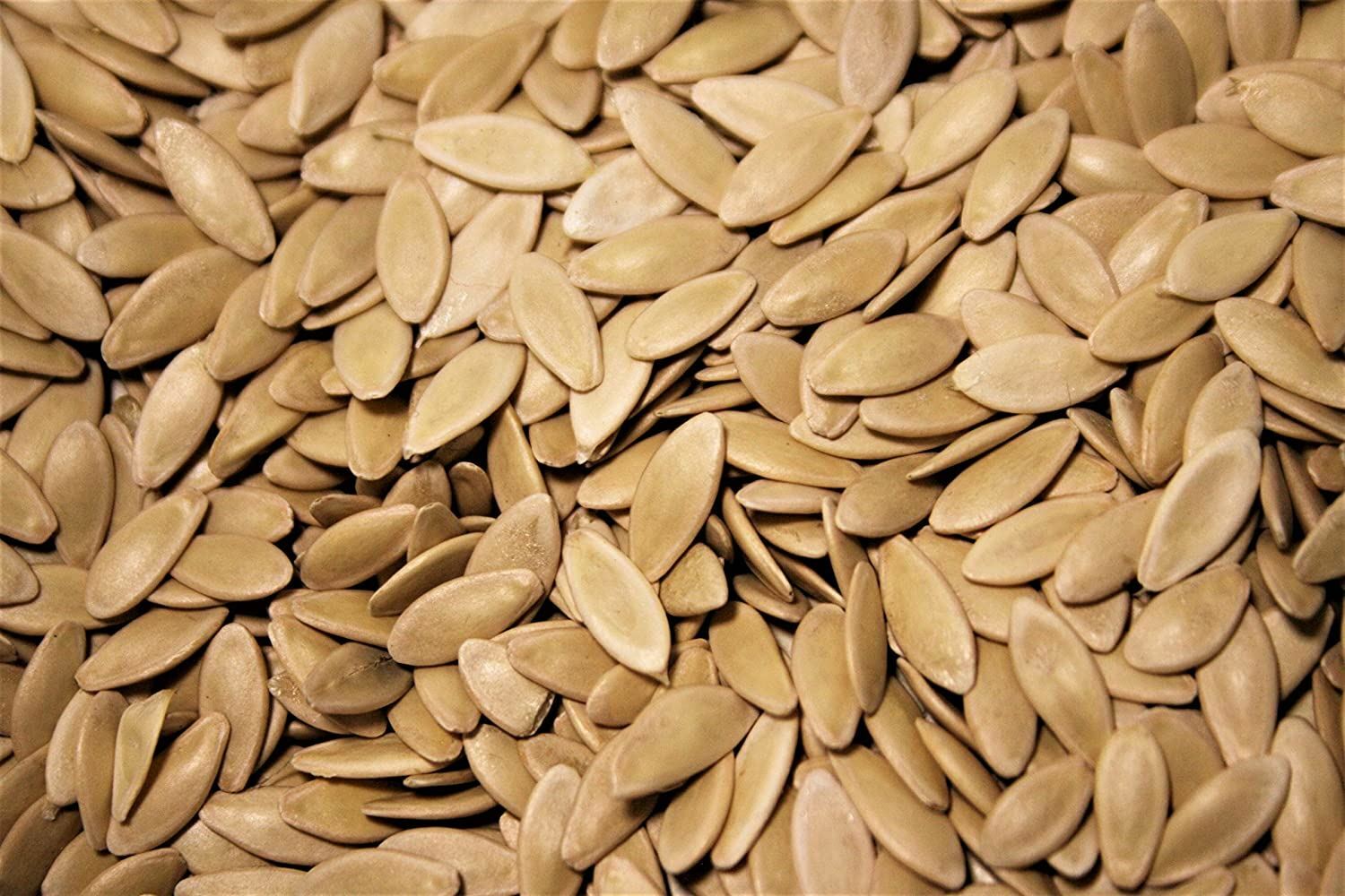 Cucumber Seeds- National Pickling Cucumber Seeds ,”COOL BEANS N SPROUTS” Brand.