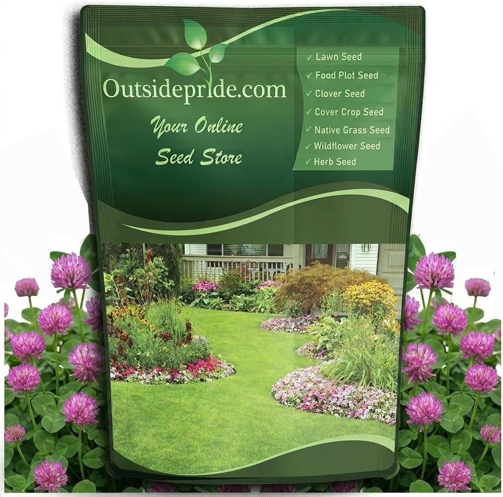 High Yield Red Clover Seeds – 10 lbs. for Companion Planting