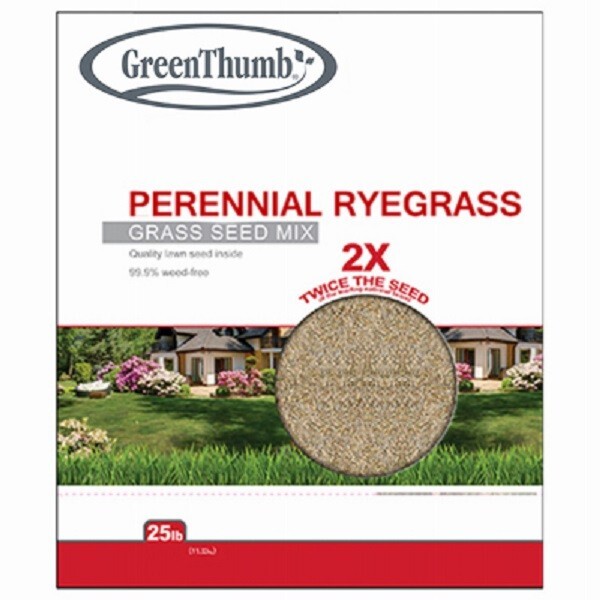 Green Thumb GTPRG25 25 lb Perennial Ryegrass MIx Grass Seed